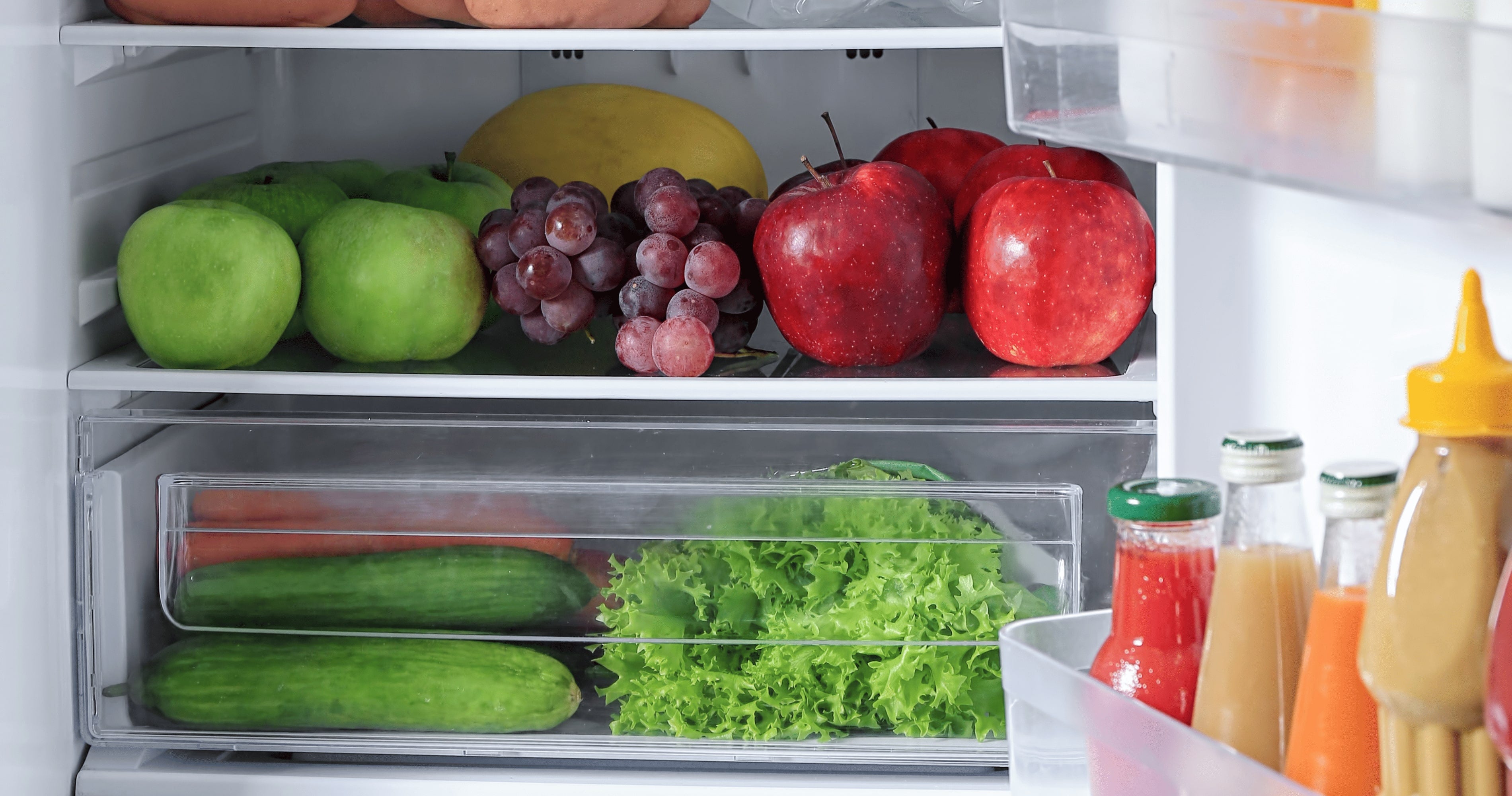 From Rot to Fresh: A Fridge Revolution